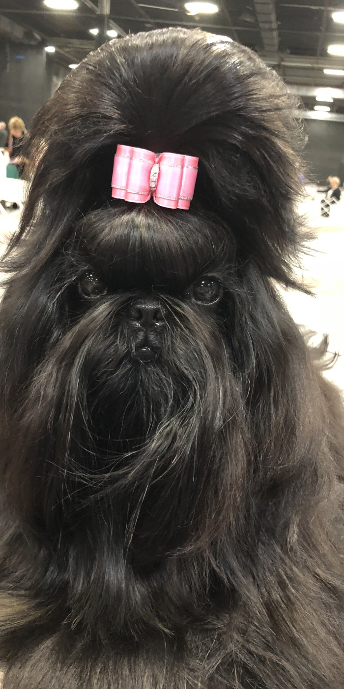 Ch.UltrasLittleBlackDress-KeKe-3