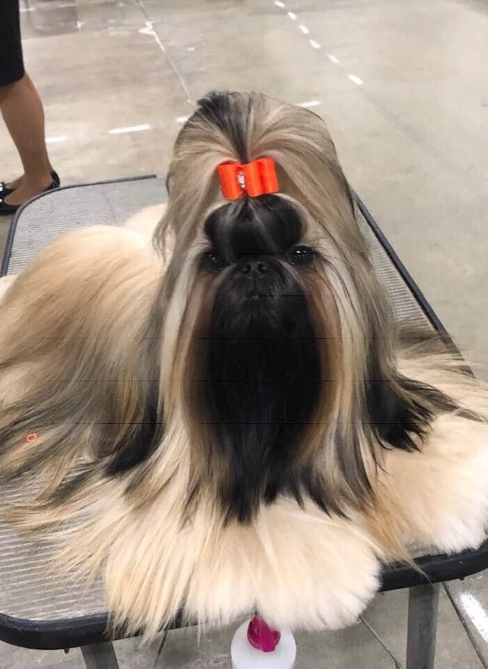 Ch.UltrasSayItLikeYouMeanIt-Savannah-4