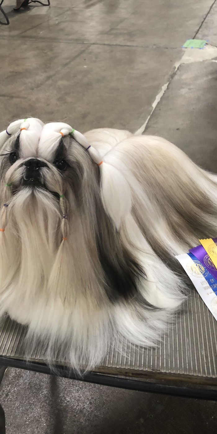 ChUltrasUNeverKnow-Andy4